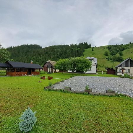 Casa Dumitru Si Elena Ciocanesti Bucovina Eksteriør billede