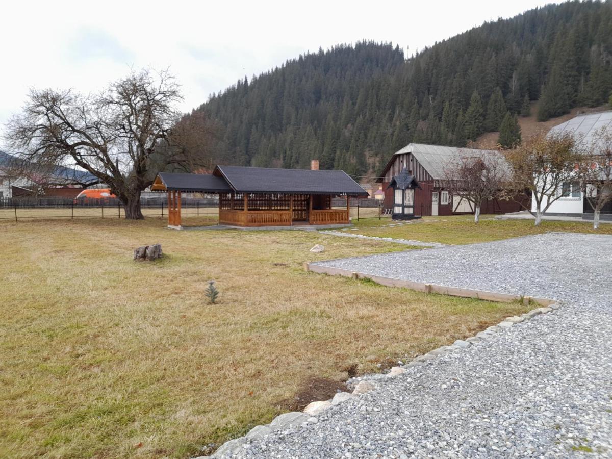Casa Dumitru Si Elena Ciocanesti Bucovina Eksteriør billede
