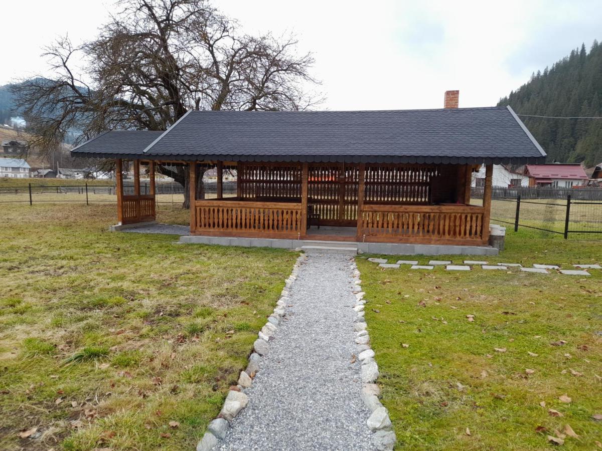 Casa Dumitru Si Elena Ciocanesti Bucovina Eksteriør billede