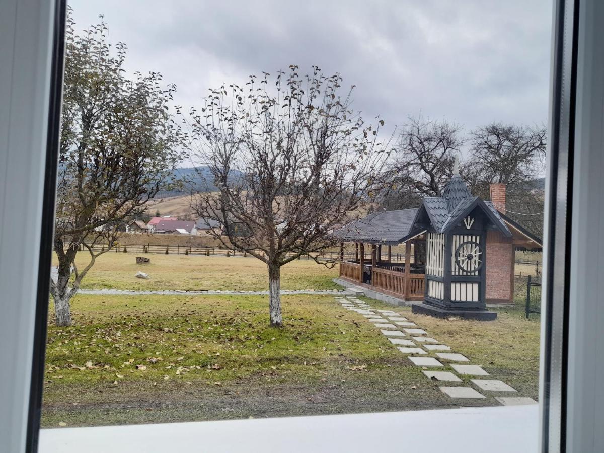 Casa Dumitru Si Elena Ciocanesti Bucovina Eksteriør billede