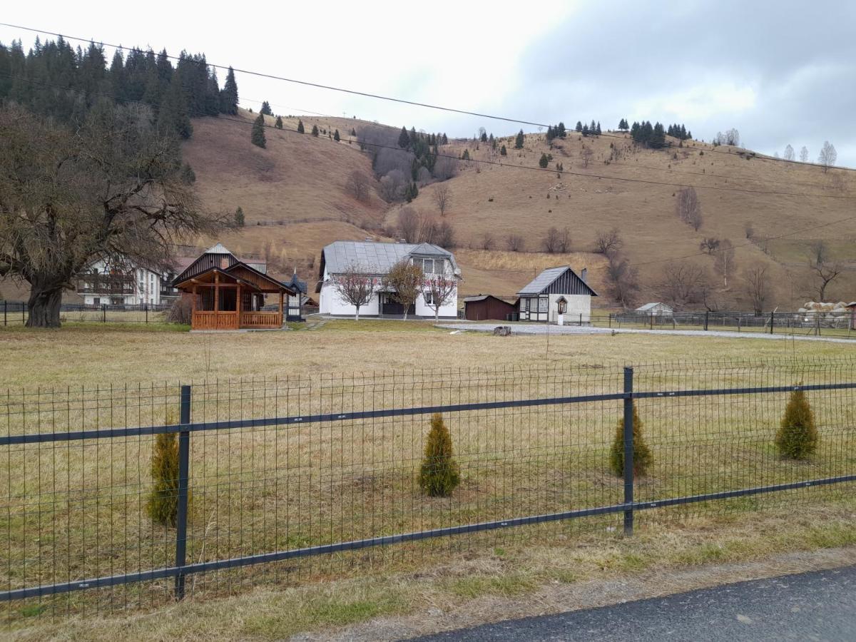 Casa Dumitru Si Elena Ciocanesti Bucovina Eksteriør billede