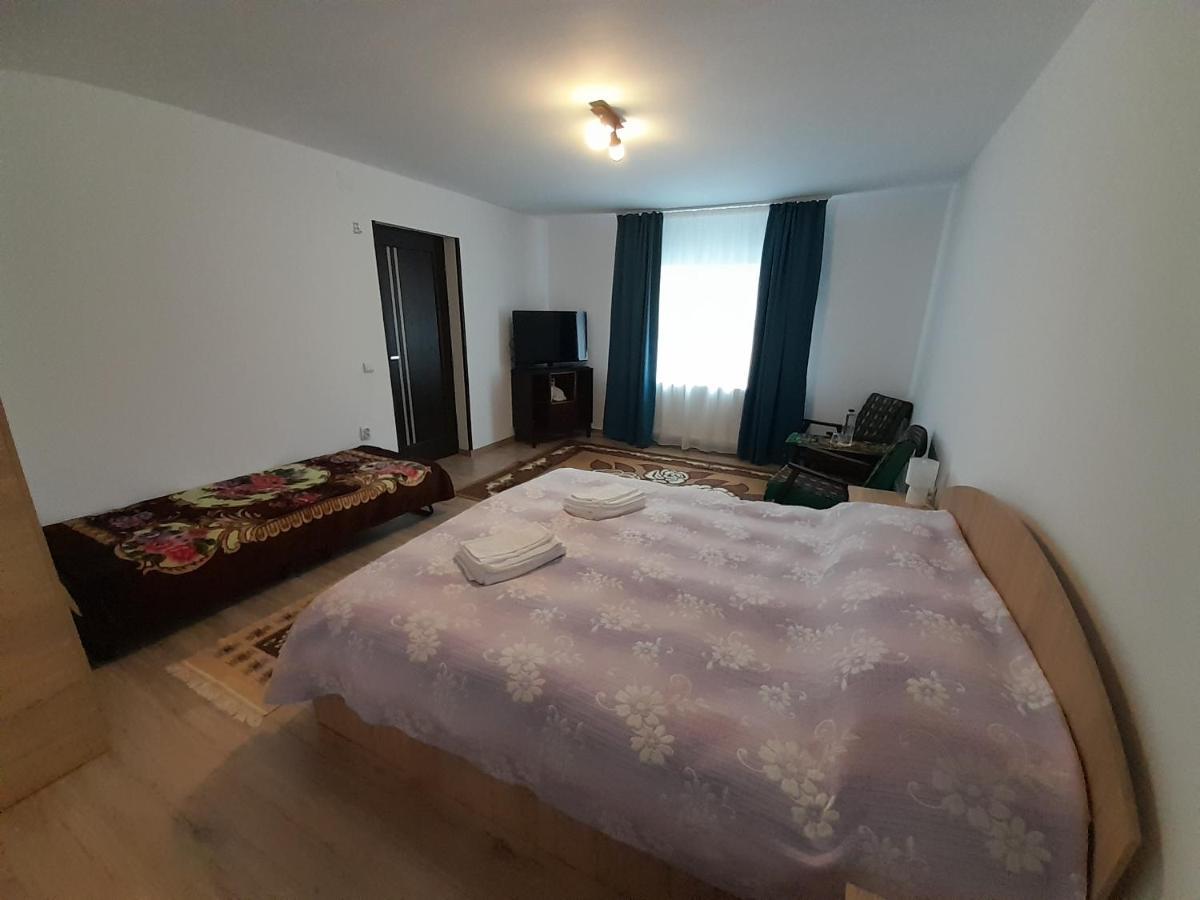Casa Dumitru Si Elena Ciocanesti Bucovina Eksteriør billede