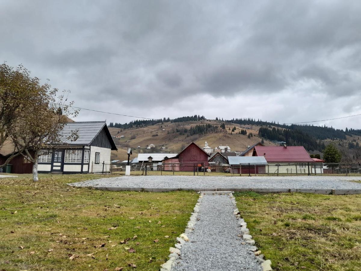 Casa Dumitru Si Elena Ciocanesti Bucovina Eksteriør billede