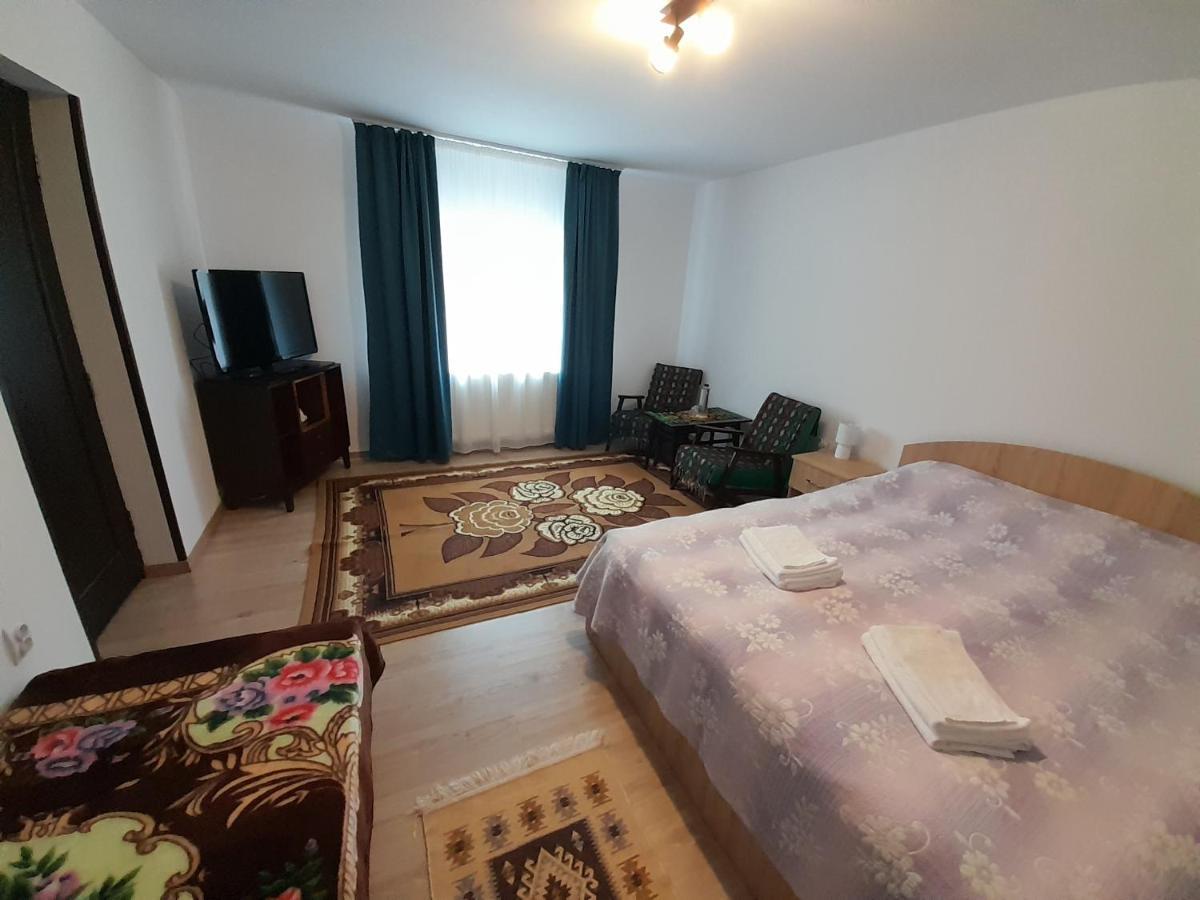 Casa Dumitru Si Elena Ciocanesti Bucovina Eksteriør billede