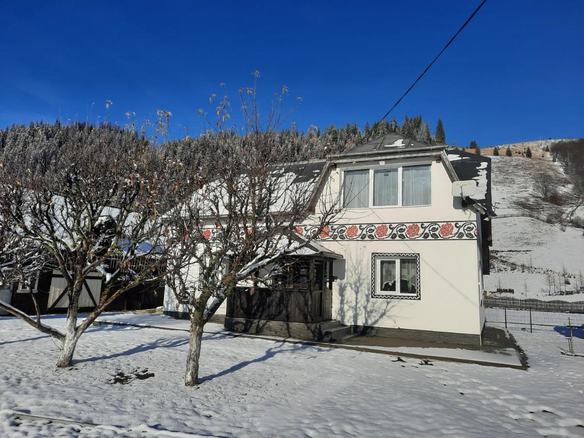 Casa Dumitru Si Elena Ciocanesti Bucovina Eksteriør billede