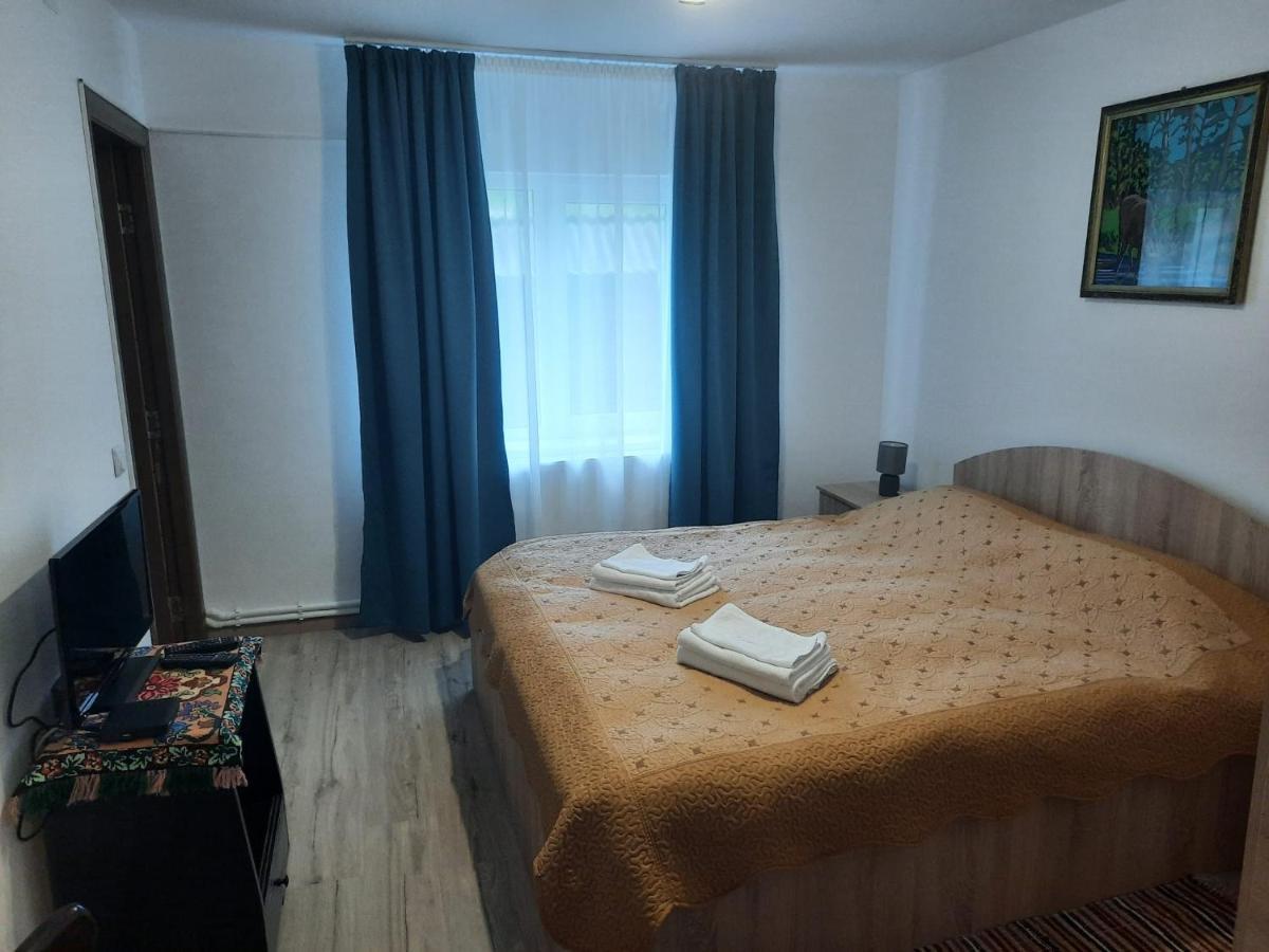 Casa Dumitru Si Elena Ciocanesti Bucovina Eksteriør billede