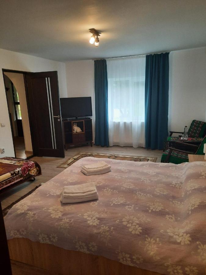Casa Dumitru Si Elena Ciocanesti Bucovina Eksteriør billede