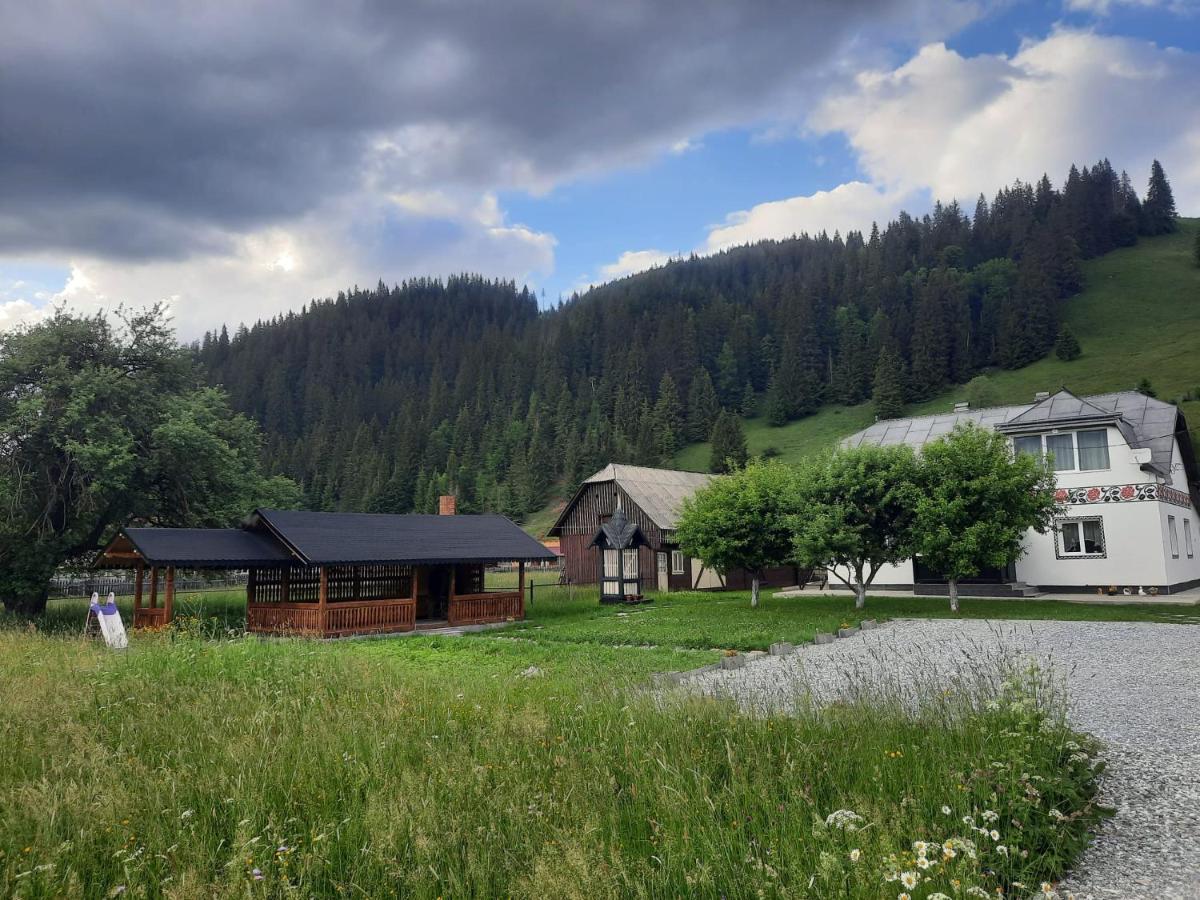 Casa Dumitru Si Elena Ciocanesti Bucovina Eksteriør billede