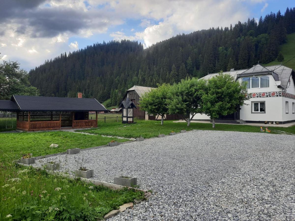 Casa Dumitru Si Elena Ciocanesti Bucovina Eksteriør billede