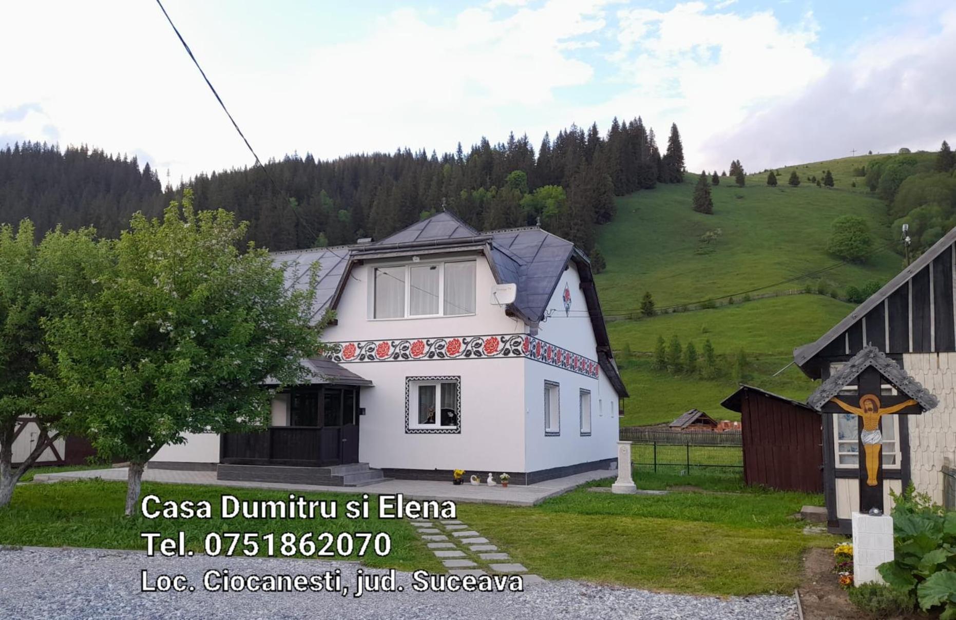 Casa Dumitru Si Elena Ciocanesti Bucovina Værelse billede